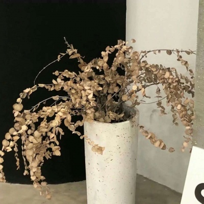 坡头FurryQQ群介绍